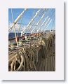02-UnionIsland - 03